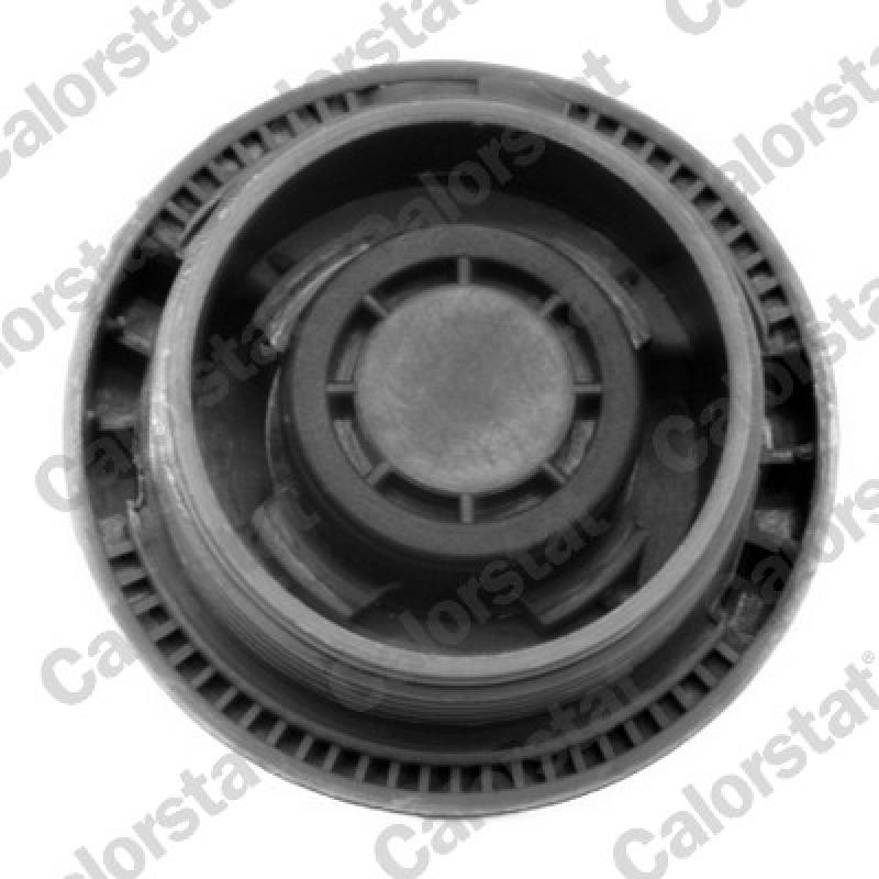 Vase d'expansion, liquide de refroidissement CALORSTAT BY VERNET ET0007C1 - Visuel 2