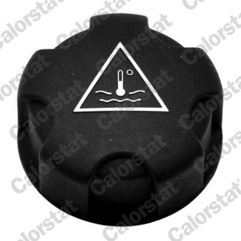 Vase d'expansion, liquide de refroidissement CALORSTAT BY VERNET ET0090C2 - Visuel 1