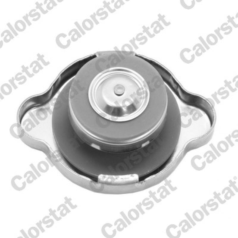 Bouchon de radiateur CALORSTAT BY VERNET RC0196 - Visuel 1