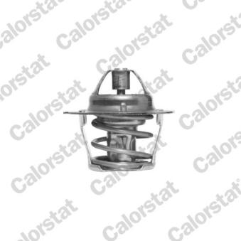 Thermostat d'eau CALORSTAT BY VERNET OEM 417535700