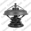 CALORSTAT BY VERNET TH6242.92J - Thermostat d'eau