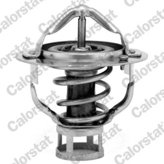 Thermostat d'eau CALORSTAT BY VERNET OEM 21200V5010