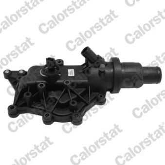 Thermostat d'eau CALORSTAT BY VERNET OEM 8200700094