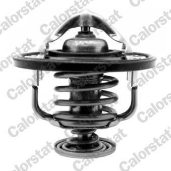 Thermostat d'eau CALORSTAT BY VERNET OEM 255002F100