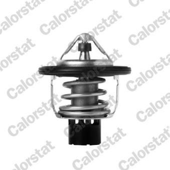 Thermostat d'eau CALORSTAT BY VERNET [TH7418.88J]