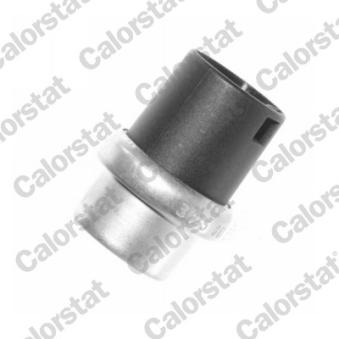 Sonde de température, liquide de refroidissement CALORSTAT BY VERNET WS2578