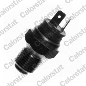Sonde de température, liquide de refroidissement CALORSTAT BY VERNET WS2684