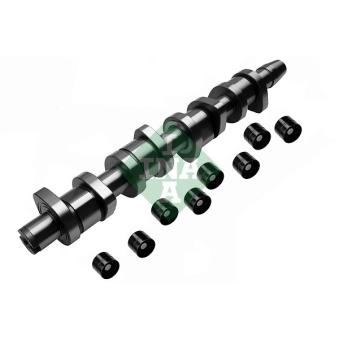 Jeu d'arbres à came INA [428 0039 30]