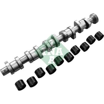 Jeu d'arbres à came INA OEM 038109309A