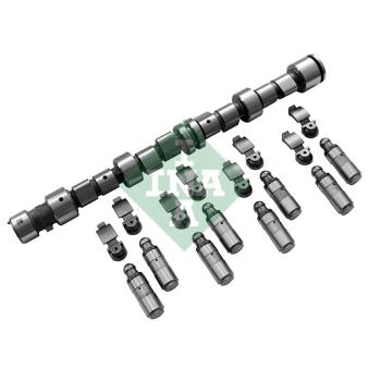 Jeu d'arbres à came INA OEM 640059 Jeu d'arbres à came INA OEM 640059