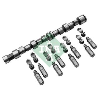 Jeu d'arbres à came INA OEM 640059 Jeu d'arbres à came INA OEM 640059