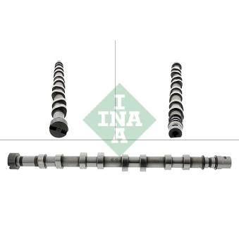 Arbre à came INA OEM 1300100qad