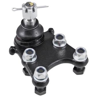 Rotule de suspension A.B.S. [220205]