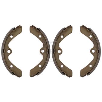 Jeu de mâchoires de frein A.B.S. OEM 5221073041