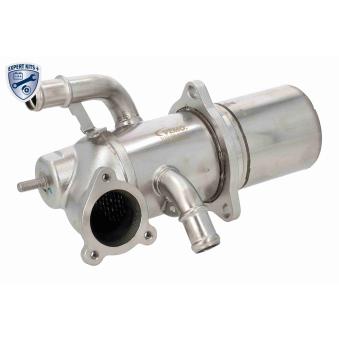 Radiateur, réaspiration des gaz d'échappement VEMO [V10-63-0189]