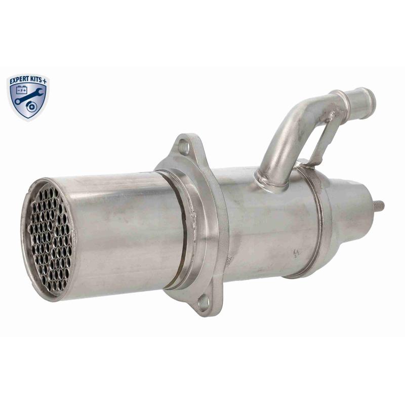 Radiateur, réaspiration des gaz d'échappement VEMO V10-63-0189 - Visuel 2