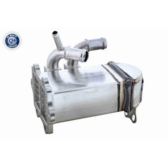 Radiateur, réaspiration des gaz d'échappement VEMO V10-63-0194