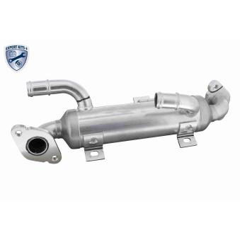 Radiateur, réaspiration des gaz d'échappement VEMO OEM 038131513J