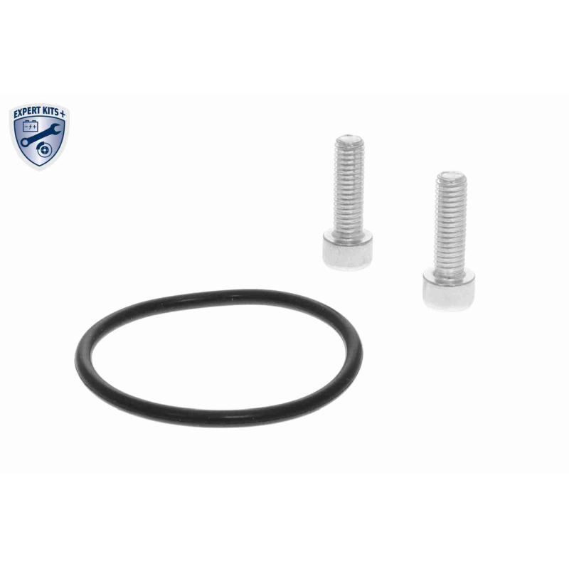 Élément d'ajustage, Étrier de frein de stationnement arrière droit VEMO V10-77-1061_N - Visuel 2