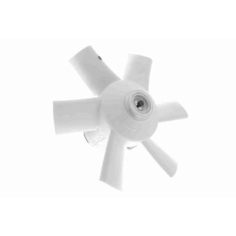 Ventilateur, refroidissement du moteur VEMO OEM 893959455B