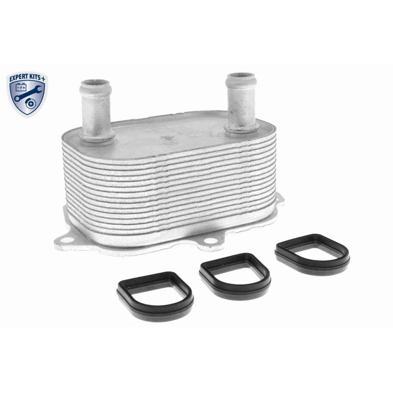 Radiateur d'huile VEMO V15-60-6091 - Visuel 1
