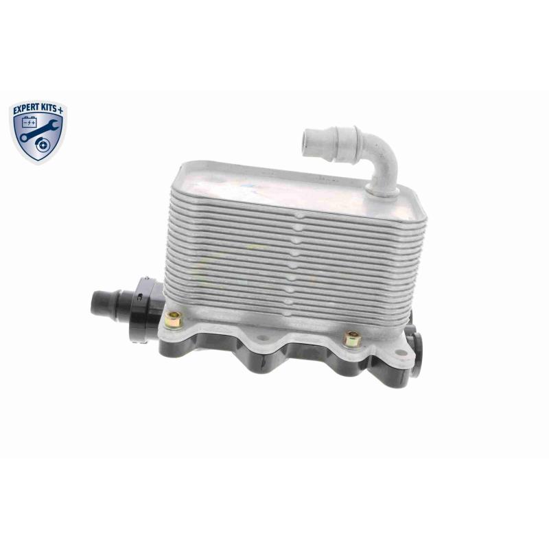 Radiateur d'huile VEMO V20-60-0046 - Visuel 2
