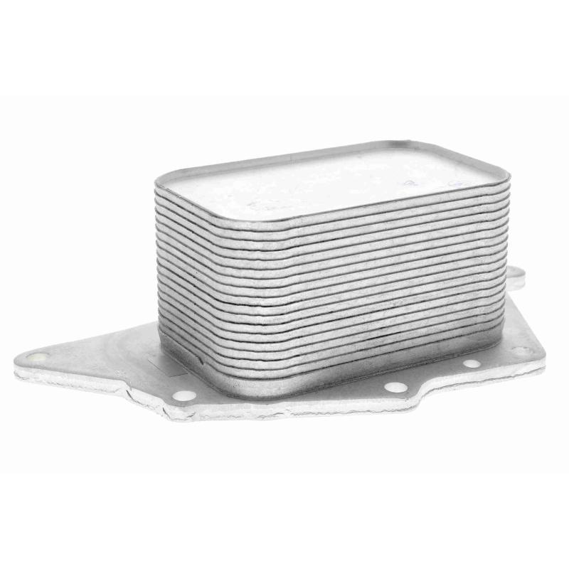 Radiateur d'huile VEMO V20-60-0048 - Visuel 1