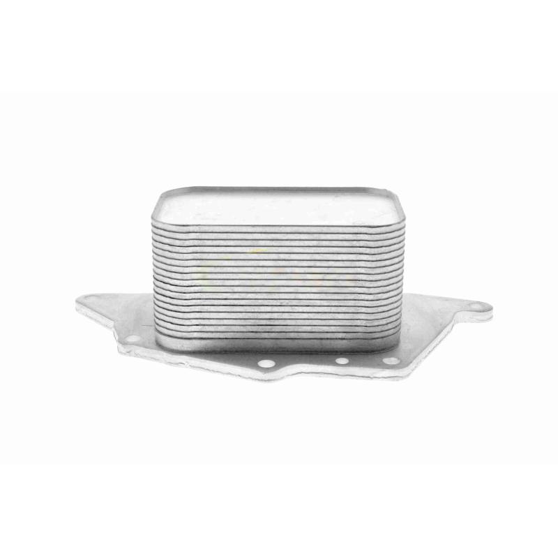 Radiateur d'huile VEMO V20-60-0048 - Visuel 2