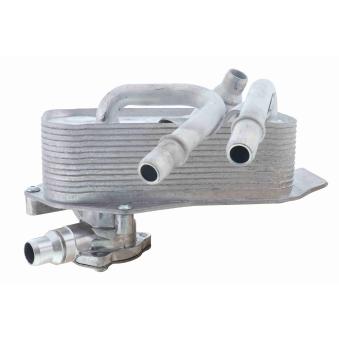 Radiateur d'huile de boîte automatique VEMO OEM 17217536929 Radiateur d'huile de boîte automatique VEMO OEM 17217536929