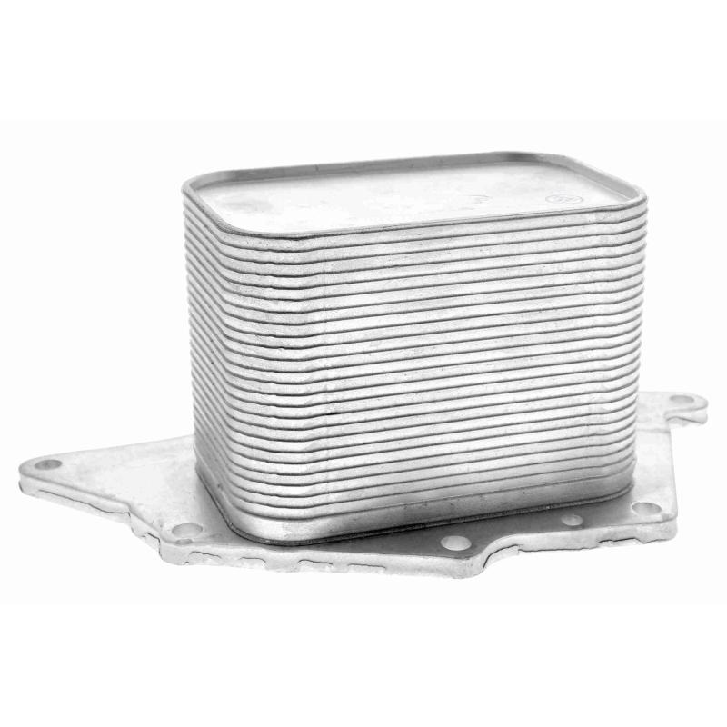Radiateur d'huile VEMO V20-60-1554 - Visuel 1