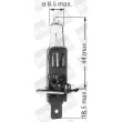 BERU 112550 - Ampoule, projecteur principal