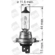 Ampoule, projecteur principal BERU [112561]