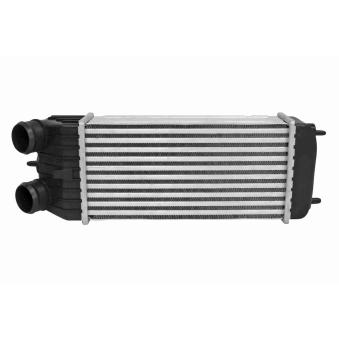 Intercooler, échangeur VEMO OEM E256091