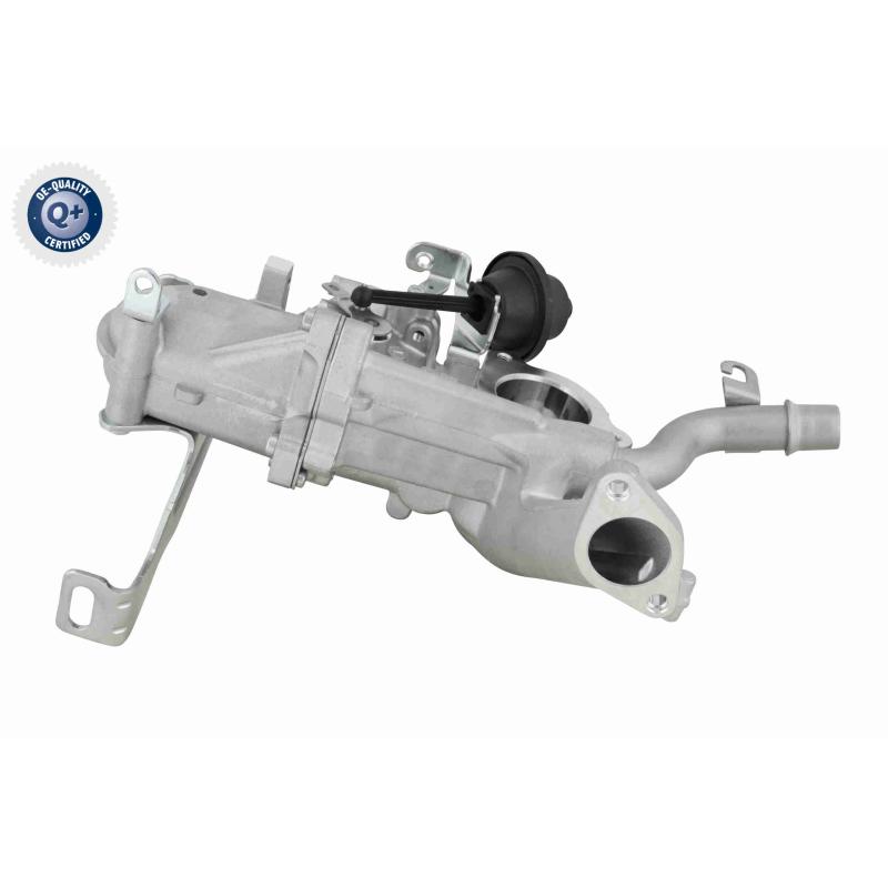 Radiateur, réaspiration des gaz d'échappement VEMO V22-63-0029 - Visuel 2