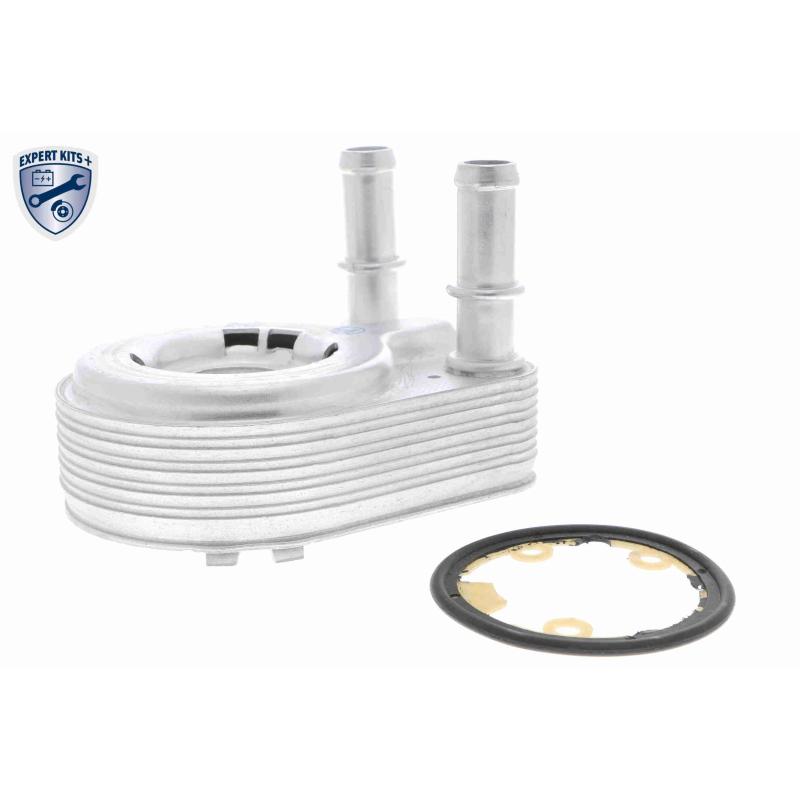Radiateur d'huile VEMO V24-60-0021 - Visuel 1