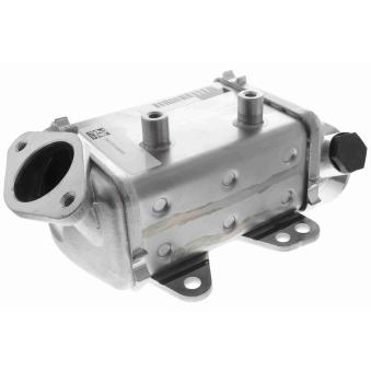 Radiateur, réaspiration des gaz d'échappement VEMO OEM 55249454
