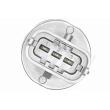 VEMO V24-72-0194-1 - Capteur