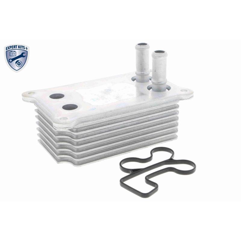 Radiateur d'huile VEMO V25-60-0031 - Visuel 1