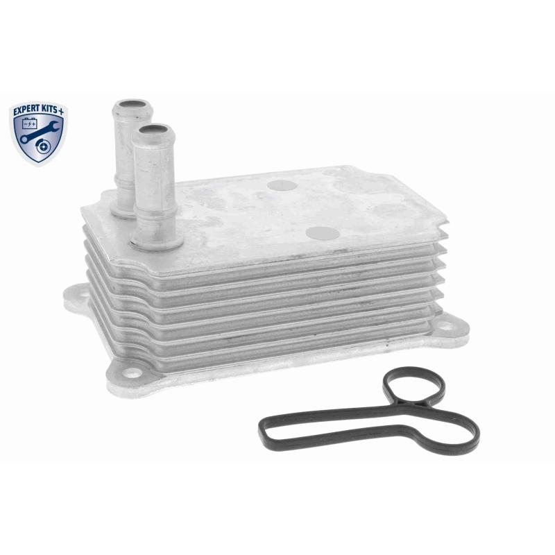 Radiateur d'huile VEMO V25-60-0033 - Visuel 1