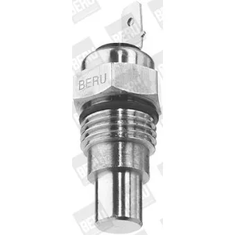 BERU ST042 - Sonde de température, liquide de refroidissement