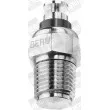 BERU ST054 - Sonde de température, liquide de refroidissement