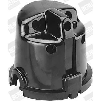 Tête d'allumeur BERU VK247