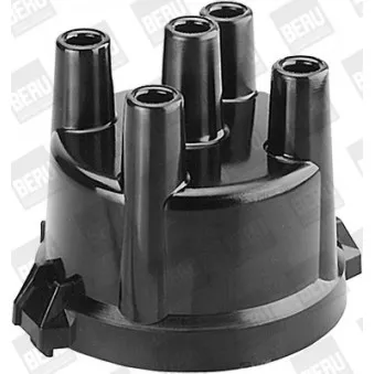 Tête d'allumeur BERU OEM 22162U6001