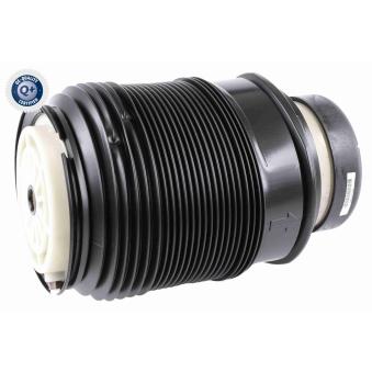 Armortisseur pneumatique arrière droit VEMO OEM 2123204025