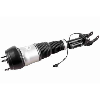Armortisseur pneumatique avant gauche VEMO OEM 1663205166 Armortisseur pneumatique avant gauche VEMO OEM 1663205166
