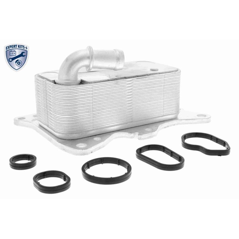 Radiateur d'huile VEMO V30-60-0007 - Visuel 1