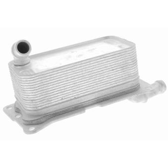 Radiateur d'huile de boîte automatique VEMO OEM 2465010101