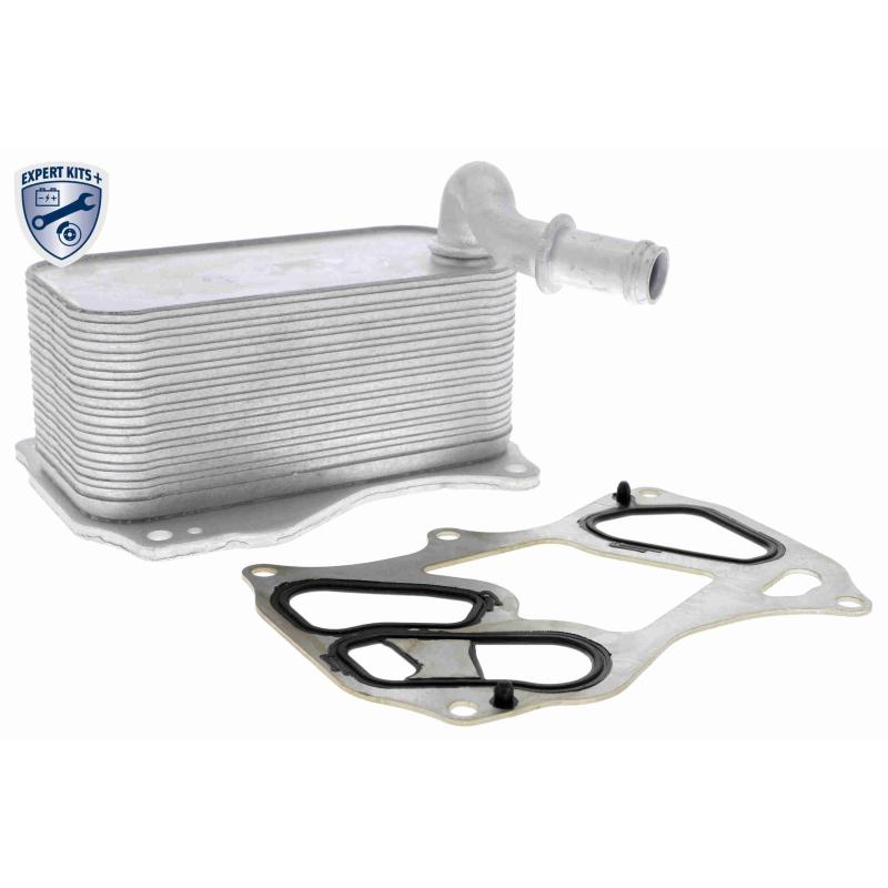 Radiateur d'huile VEMO V30-60-1342 - Visuel 1