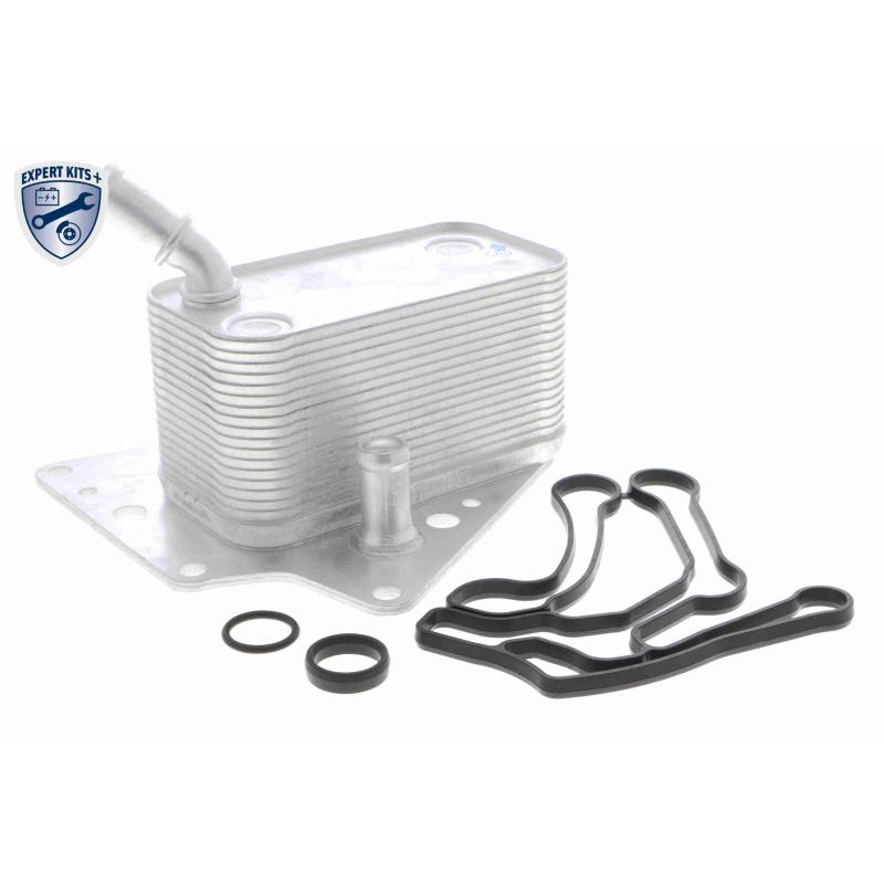 Radiateur d'huile VEMO V40-60-2101 - Visuel 1