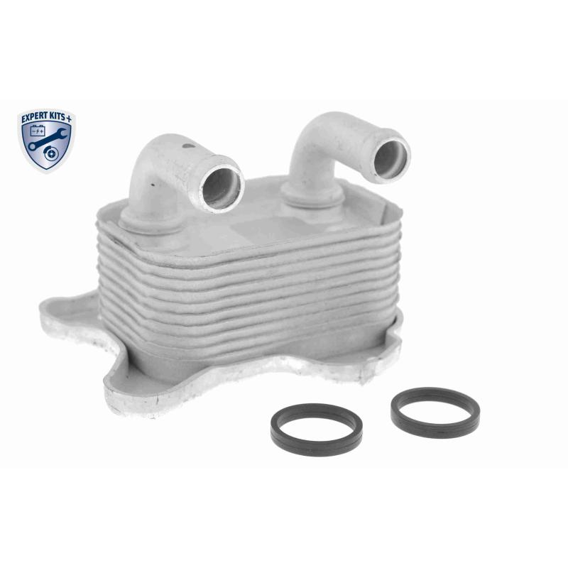 Radiateur d'huile VEMO V40-60-2103 - Visuel 1